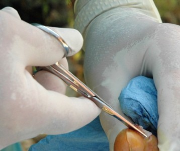 VIDEOS ON EMERGENCY PROCEDURES